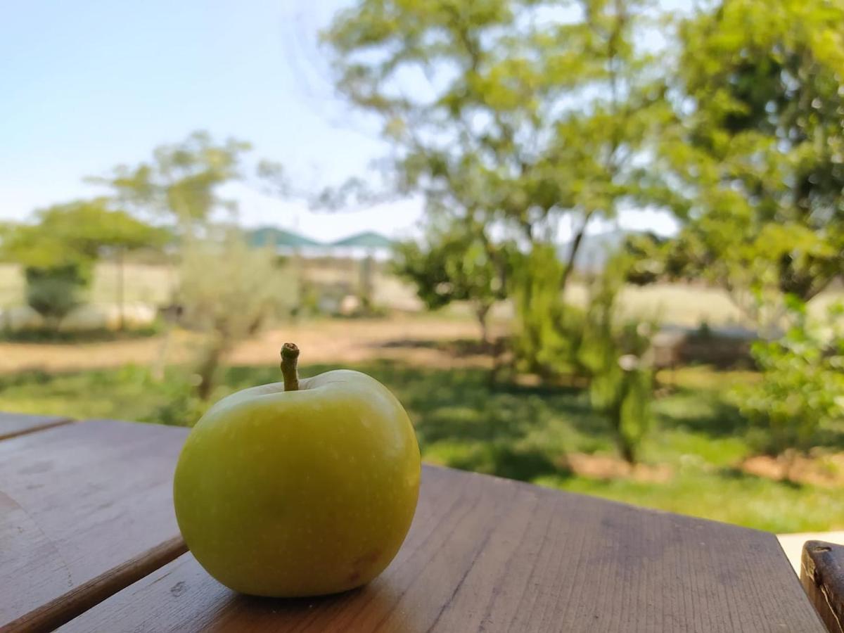 Ktima Anastasia Nafplio Luaran gambar