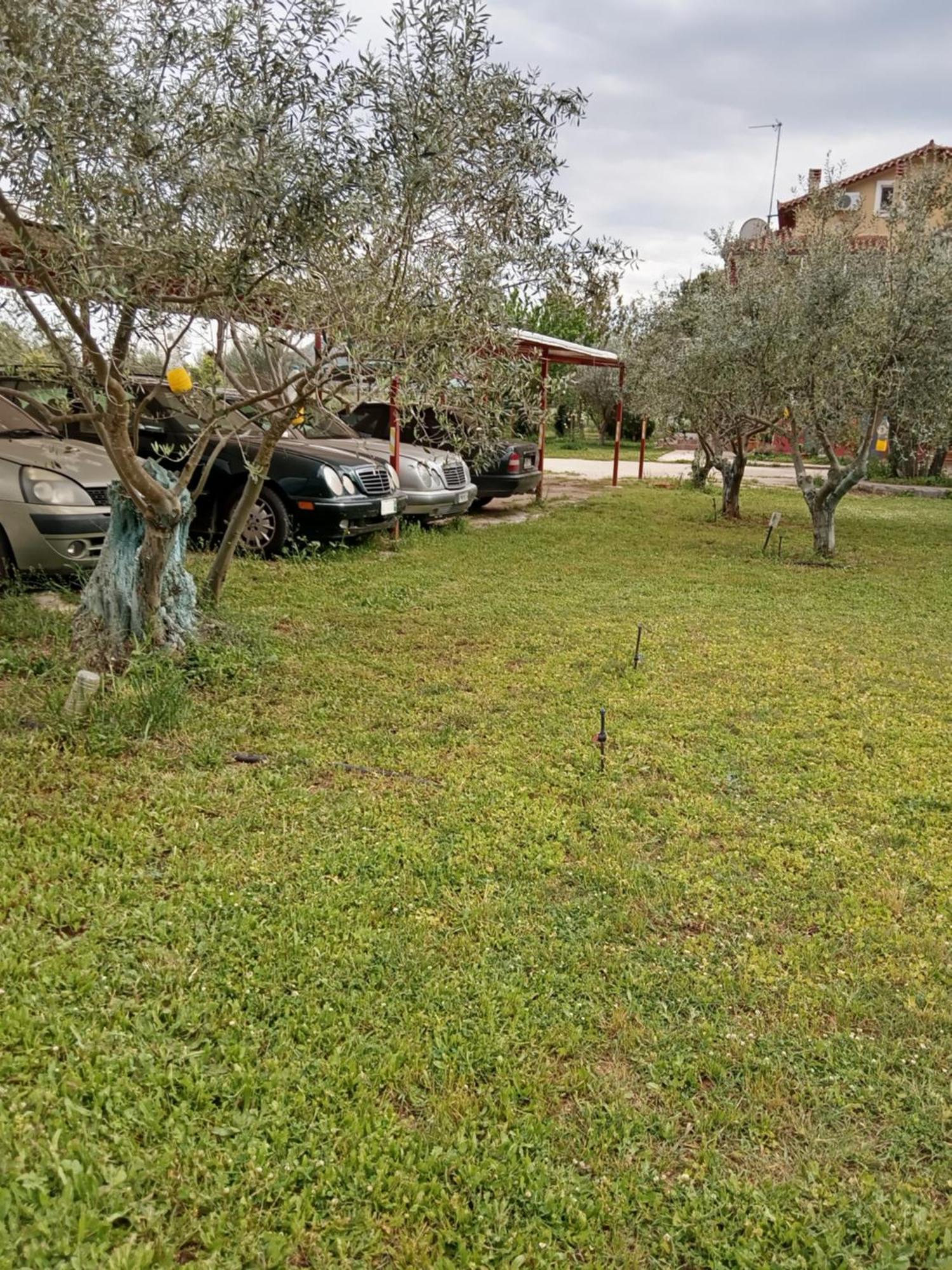 Ktima Anastasia Nafplio Bilik gambar