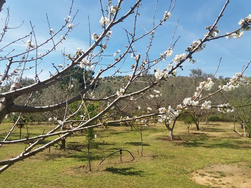 Ktima Anastasia Nafplio Luaran gambar