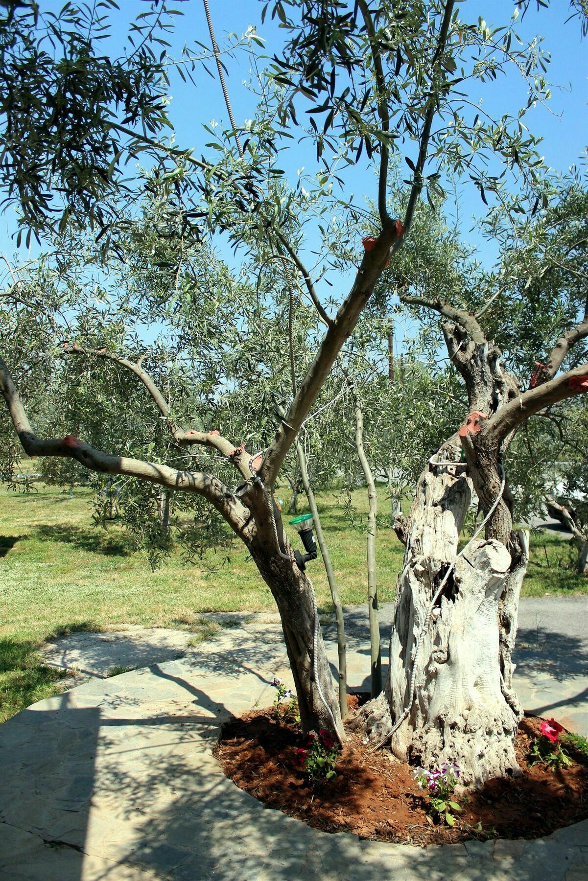 Ktima Anastasia Nafplio Luaran gambar